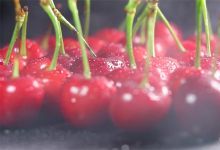 【97款】水果美食高清展示短视频素材